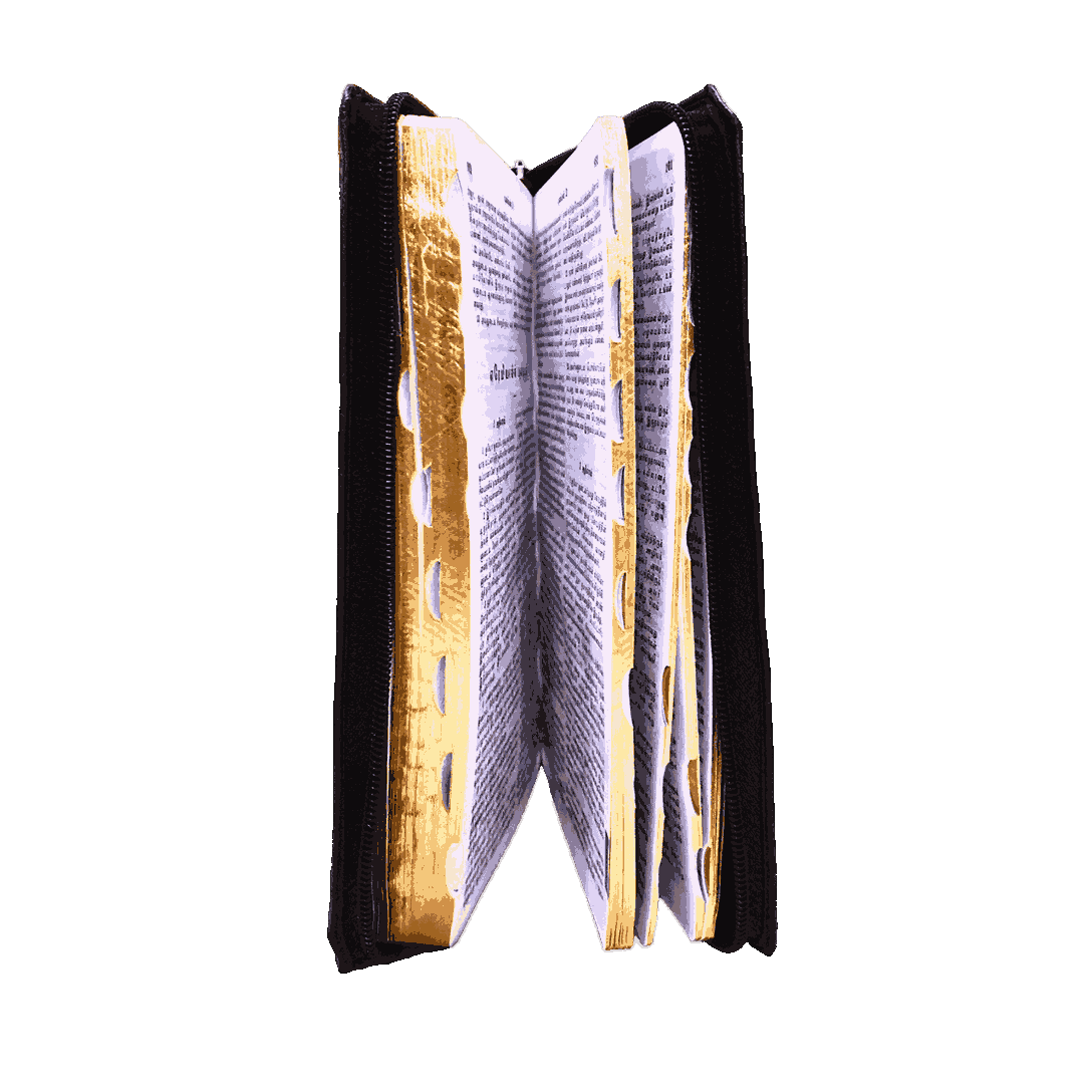 The Holy Bible Tamil Gilt Binding BSI - Image 5