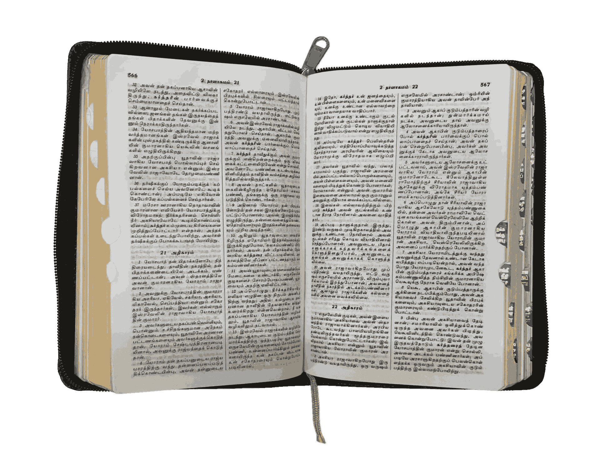 The Holy Bible Tamil Gilt Binding BSI - Image 8
