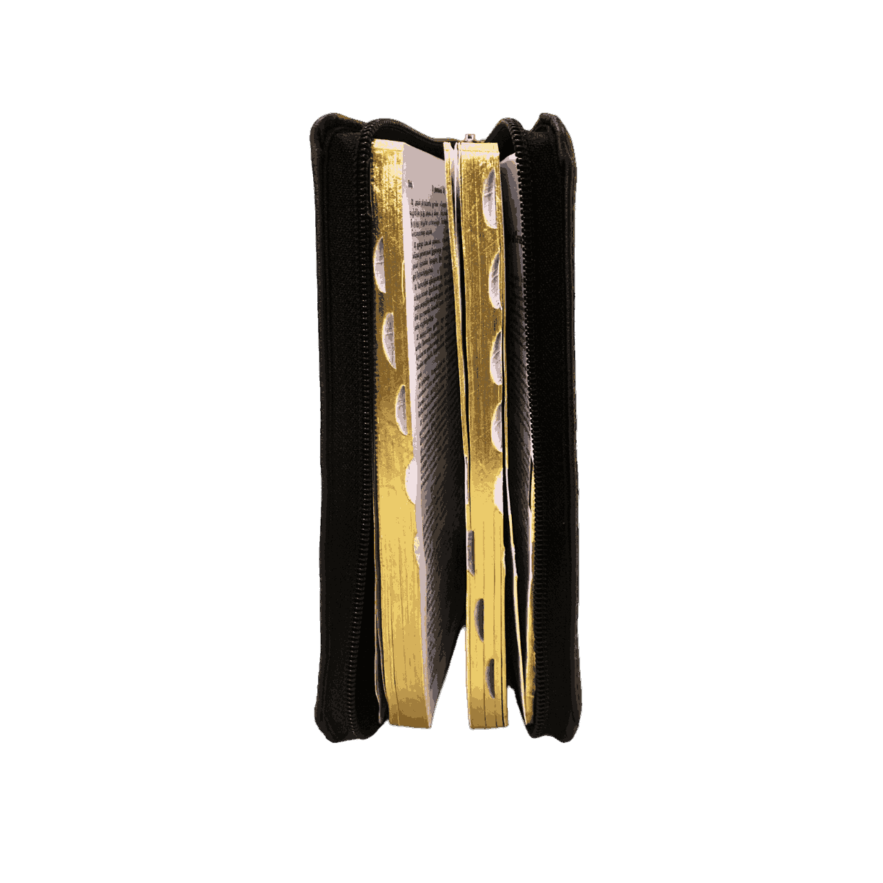 The Holy Bible Tamil Gilt Binding BSI - Image 9